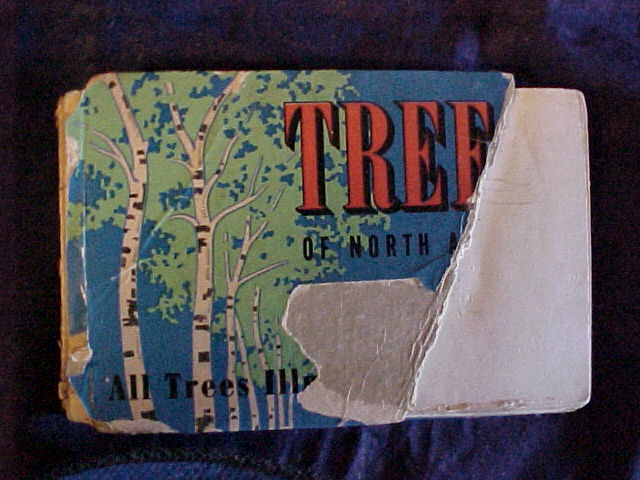 tree book; click the picture for a close up.