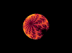 io.gif (32969 bytes)