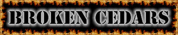 Broken Cedars