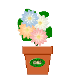 The Site Fights Spirit Flowers