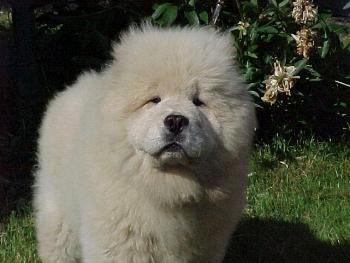 Marg2.JPG (17268 bytes)