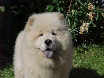 Marg4.JPG (19747 bytes)