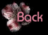 alstmback.gif (4224 bytes)