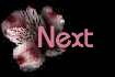 alstmnext.gif (4131 bytes)