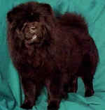 cantonfortunecookie.jpg (15167 bytes)