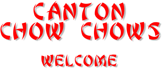 chinahead.gif (17587 bytes)