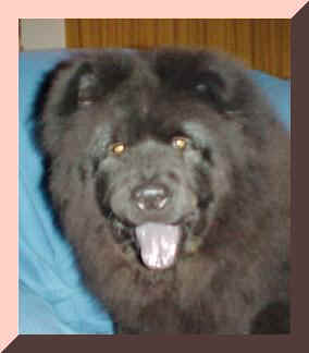 bcboyfr.jpg (11699 bytes)