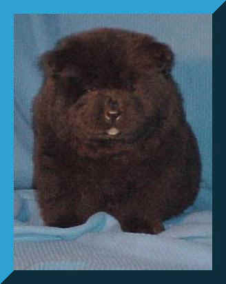 blkfr.JPG (15336 bytes)