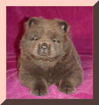 bluegirl1fr3.JPG (15698 bytes)