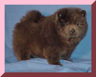 blupkfr.JPG (11243 bytes)