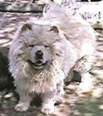 buddyx.jpg (17809 bytes)