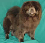 cantonblueheather.jpg (15771 bytes)