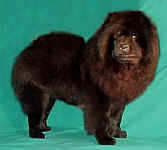 cantonpartydoll.jpg (14261 bytes)