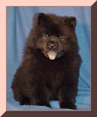 cbbkg1fr.JPG (16218 bytes)