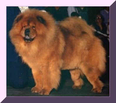 cypresspufr.JPG (18153 bytes)