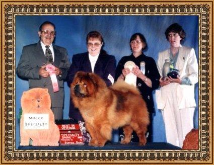 new-3bx.jpg (37679 bytes)