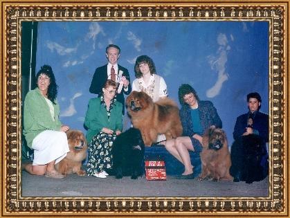 davstud.jpg (35235 bytes)