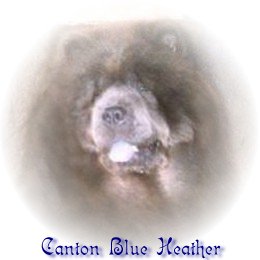 heatherlit.jpg (10972 bytes)