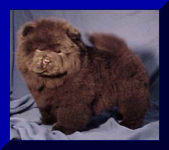 hmboy1bfr.JPG (9881 bytes)