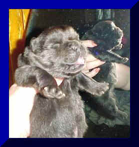 hmboy1wk2fr.JPG (16365 bytes)