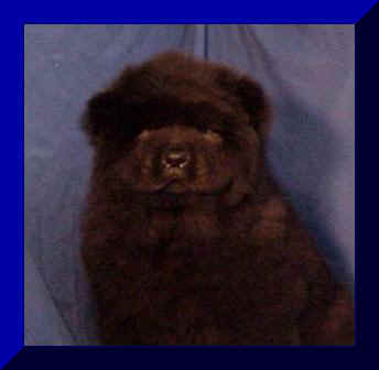 hmboy3afr.JPG (8431 bytes)