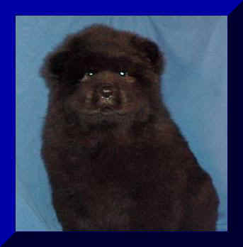 hmboy3bfr.JPG (8920 bytes)