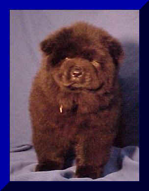 hmboy3cfr.JPG (10727 bytes)