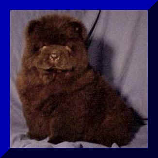 hmg1afr.JPG (10002 bytes)