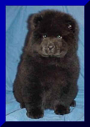 hmg3afr.JPG (12393 bytes)