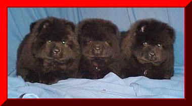 hmgirlsfr.JPG (9319 bytes)