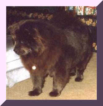 indigopufr.JPG (15803 bytes)