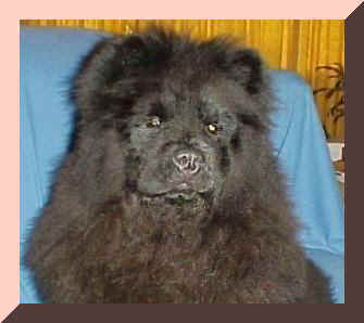 kongfr.jpg (14991 bytes)