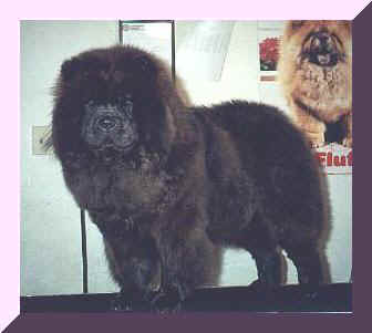 libbypufr.JPG (9525 bytes)