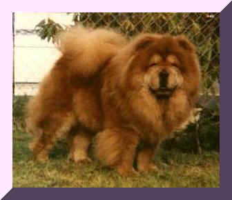 samoapufr.JPG (15003 bytes)