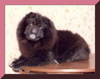 sukitable2fr.JPG (11703 bytes)