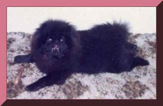 sukitongfr.JPG (11340 bytes)