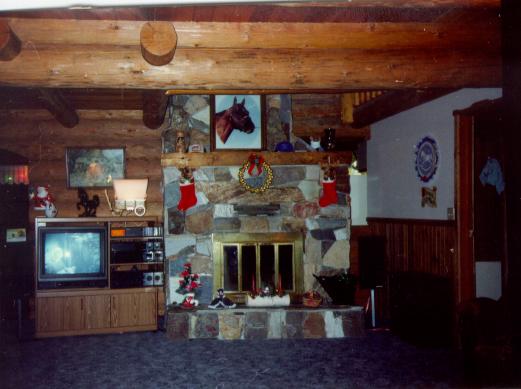 Shows part of the living room with its lovely stone fireplace