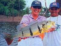 Peacock Bass are beautiful fish