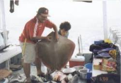 the fish are good eating