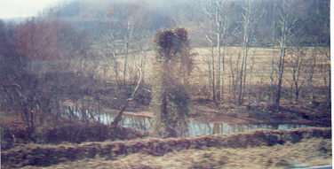 In them thar hills...