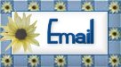 email button