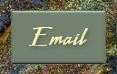 Email button