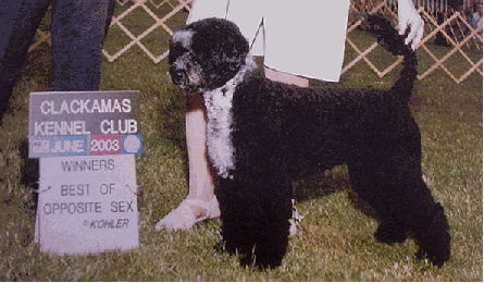 Earning her first point