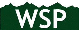 WSP Text Image