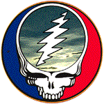 Steal Your Face Image