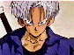 trunks19t.gif (6029 bytes)