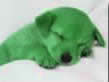 Sleeping Puppy - Click to see a bigger image