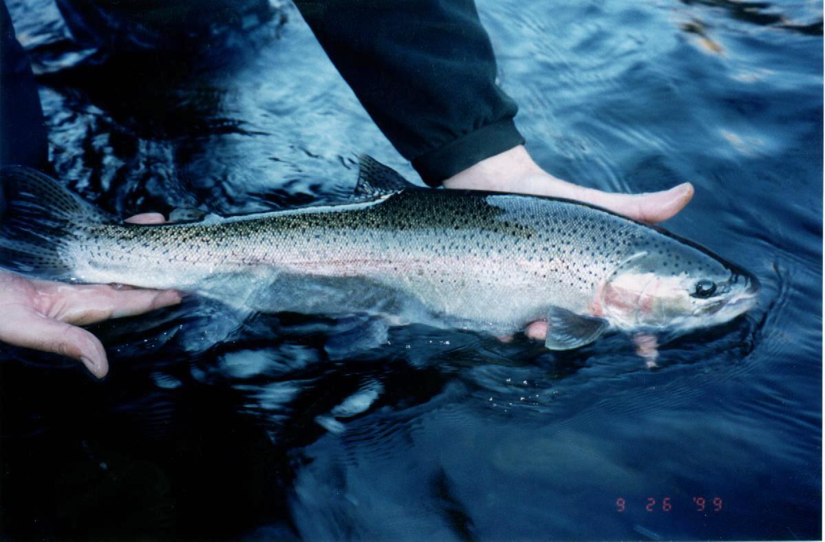 Rather be here than in school!