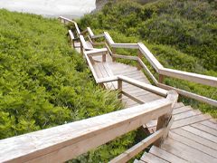 the beach is just down the steps