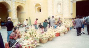 Flower Market in Antigua